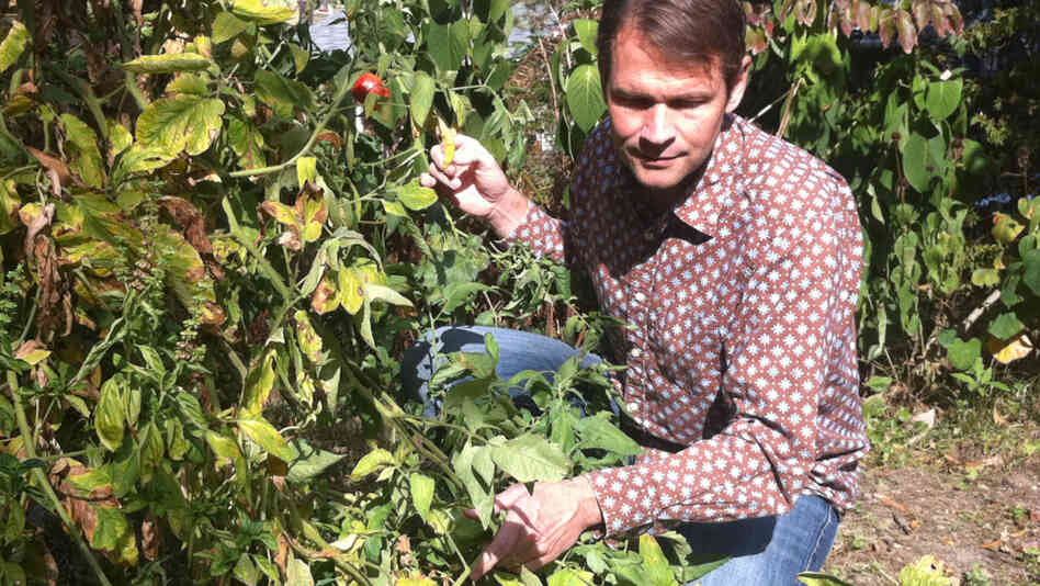 Geochemist Gabriel Filippelli in an Indianapolis garden. Geochemist Gabriel Filippelli in an Indianapolis garden.
